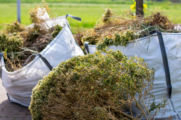Best Same-Day Junk Removal Services  in Clarendon Hls, IL